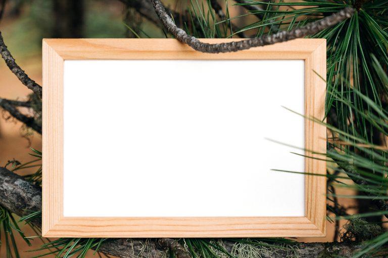 Wooden frame with white blank card on green natural background in forest. Top view Flat lay Mockup